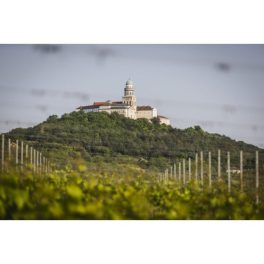 Pannonhalmi borvidék